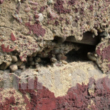 usługi alpinistyczne