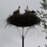 usługi alpinistyczne