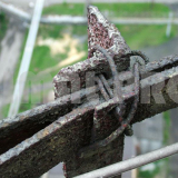 usługi alpinistyczne