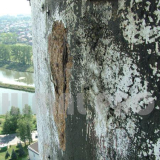 usługi alpinistyczne