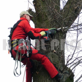 usługi alpinistyczne